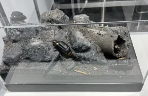 Рої кіборг-комах замість дронів: у Німеччині презентували нову військову розробку (фото) Рої-кіборг-комах-замість-дронів:-у-Німеччині-презентували-нову-військову-розробку-(фото)