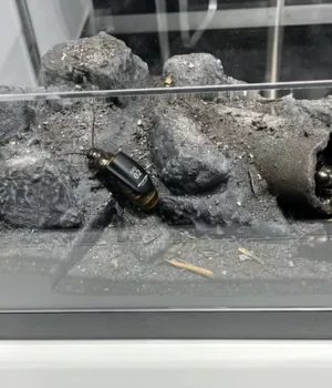 Рої-кіборг-комах-замість-дронів:-у-Німеччині-презентували-нову-військову-розробку-(фото)