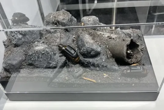 Рої кіборг-комах замість дронів: у Німеччині презентували нову військову розробку (фото) Рої-кіборг-комах-замість-дронів:-у-Німеччині-презентували-нову-військову-розробку-(фото)