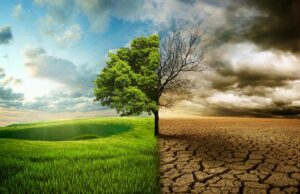 Чому планета не висихає одразу: вчені знайшли просте пояснення Чому-планета-не-висихає-одразу:-вчені-знайшли-просте-пояснення