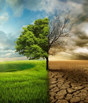 Чому-планета-не-висихає-одразу:-вчені-знайшли-просте-пояснення