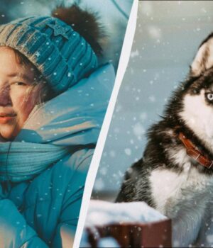 Яке-свято-27-лютого:-що-обов’язково-потрібно-подарувати-близьким-сьогодні