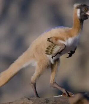 Важив-менш-як-кілограм:-учені-знайшли-рештки-унікального-динозавра,-яким-90-мільйонів-років