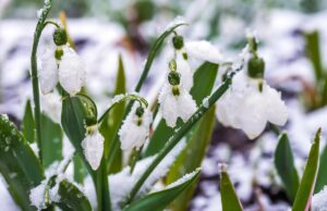 До -13° і знову мокрий сніг: синоптик рдав невтішний прогноз на березень До-13°-і-знову-мокрий-сніг:-синоптик-рдав-невтішний-прогноз-на-березень