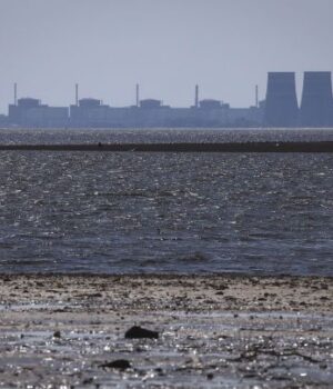 Україна-та Росія-домовилися-про-часткове-перемир’я:-де припинять-вогонь Україна-та Росія-домовилися-про-часткове-перемир’я:-де припинять-вогонь