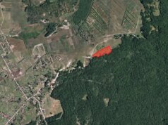 На Волині селищна рада здала в оренду 6 гектарів поля столичній фірмі На-Волині-селищна-рада-здала-в-оренду-6-гектарів-поля-столичній-фірмі