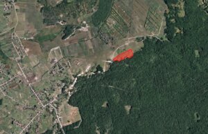 На Волині селищна рада здала в оренду 6 гектарів поля столичній фірмі На-Волині-селищна-рада-здала-в-оренду-6-гектарів-поля-столичній-фірмі