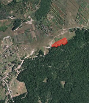 На-Волині-селищна-рада-здала-в-оренду-6-гектарів-поля-столичній-фірмі