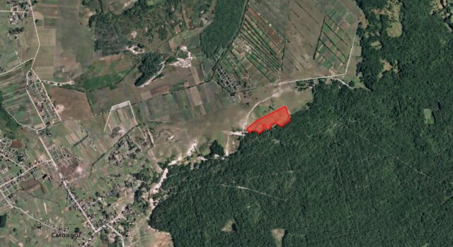 На Волині селищна рада здала в оренду 6 гектарів поля столичній фірмі На-Волині-селищна-рада-здала-в-оренду-6-гектарів-поля-столичній-фірмі