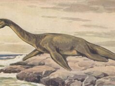 В Алжирі знайшли слід морського “монстра”, який заповнив прогалину в історії динозаврів В-Алжирі-знайшли-слід-морського-“монстра”,-який-заповнив-прогалину-в-історії-динозаврів