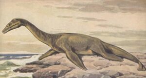 В Алжирі знайшли слід морського “монстра”, який заповнив прогалину в історії динозаврів В-Алжирі-знайшли-слід-морського-“монстра”,-який-заповнив-прогалину-в-історії-динозаврів