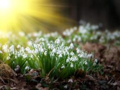 Ось і настала весна: як зворушливо привітати з 1 березня близьких і друзів Ось-і-настала-весна:-як-зворушливо-привітати-з-1-березня-близьких-і-друзів