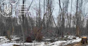 На Волині виявили незаконну вирубку дерев на понад 6 мільйонів гривень На-Волині-виявили-незаконну-вирубку-дерев-на-понад-6-мільйонів-гривень