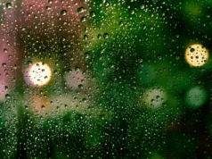 Прогноз погоди в Україні на 2 березня: дощі та потепління на півдні Погода-2-березня-–-Україну-очікують-дощі,-на-півдні-до-13-градусів-тепла