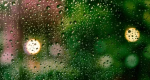 Прогноз погоди в Україні на 2 березня: дощі та потепління на півдні Погода-2-березня-–-Україну-очікують-дощі,-на-півдні-до-13-градусів-тепла