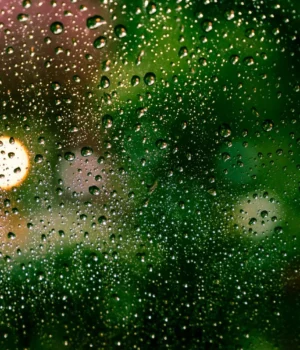 Погода-2-березня-–-Україну-очікують-дощі,-на-півдні-до-13-градусів-тепла