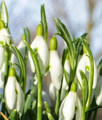 До України прийде потепління без опадів: прогноз погоди на 2 березня До України прийде потепління без опадів: прогноз погоди на 2 березня