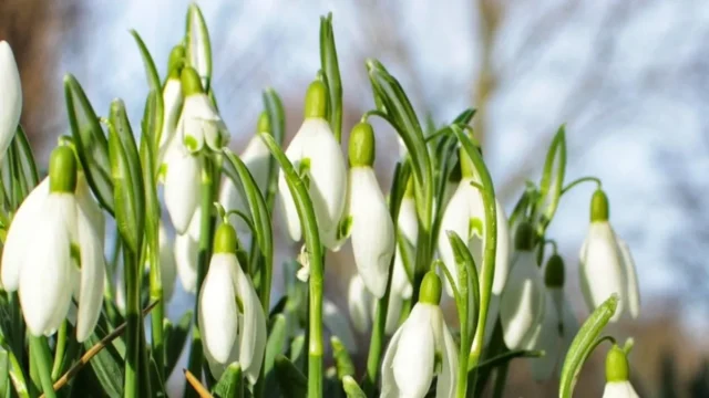 До України прийде потепління без опадів: прогноз погоди на 2 березня До України прийде потепління без опадів: прогноз погоди на 2 березня