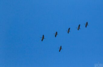 Перший тиждень весни стартує в Україні з 12-градусного тепла Перший-тиждень-весни-стартує-в-Україні-з-12-градусного-тепла