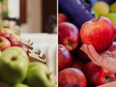 Чому яблука з магазину блищать і липкі на дотик: чи можна їх їсти насправді Чому-яблука-з-магазину-блищать-і-липкі-на-дотик:-чи-можна-їх-їсти-насправді