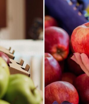Чому-яблука-з-магазину-блищать-і-липкі-на-дотик:-чи-можна-їх-їсти-насправді
