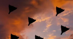 Зеленський пропонує експертів для знищення іранських безпілотників в обмін на перемир’я Зеленський-готовий-направити-експертів-зі-знищення-іранських-безпілотників-в-обмін-на-перемир'я-–-ЗМІ