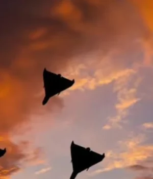 Зеленський-готовий-направити-експертів-зі-знищення-іранських-безпілотників-в-обмін-на-перемир'я-–-ЗМІ Зеленський-готовий-направити-експертів-зі-знищення-іранських-безпілотників-в-обмін-на-перемир'я-–-ЗМІ