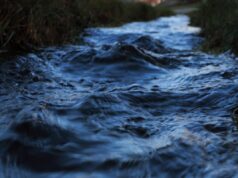 У підземних водних масивах Землі може ховатися бурхливе життя У-підземних-водних-масивах-Землі-може-ховатися-бурхливе-життя