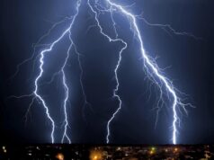 Дерева можуть “іскрити” під час грози: вчені вперше помітили унікальне явище Дерева-можуть-“іскрити”-під-час-грози:-вчені-вперше-помітили-унікальне-явище