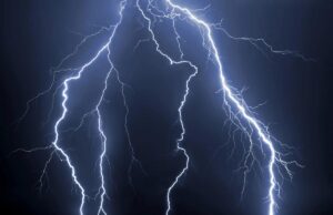 Дерева можуть “іскрити” під час грози: вчені вперше помітили унікальне явище Дерева-можуть-“іскрити”-під-час-грози:-вчені-вперше-помітили-унікальне-явище