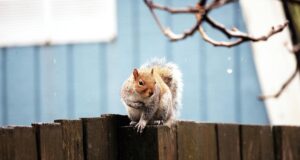 3 березня погода в Україні зміниться 3-березня-погода-в-Україні-зміниться