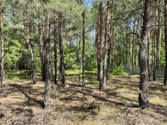 На Волині експосадовець ДСНС торгувався з колишнім прокурором за майже 17 соток курортної землі На-Волині-експосадовець-ДСНС-торгувався-з-колишнім-прокурором-за-майже-17-соток-курортної-землі