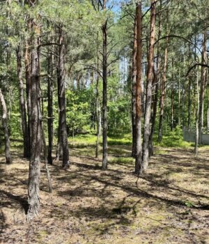 На-Волині-експосадовець-ДСНС-торгувався-з-колишнім-прокурором-за-майже-17-соток-курортної-землі