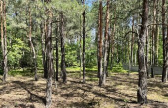 На Волині експосадовець ДСНС торгувався з колишнім прокурором за майже 17 соток курортної землі На-Волині-експосадовець-ДСНС-торгувався-з-колишнім-прокурором-за-майже-17-соток-курортної-землі