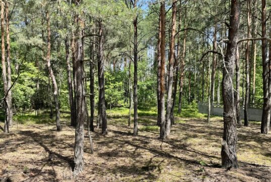 На Волині експосадовець ДСНС торгувався з колишнім прокурором за майже 17 соток курортної землі На-Волині-експосадовець-ДСНС-торгувався-з-колишнім-прокурором-за-майже-17-соток-курортної-землі