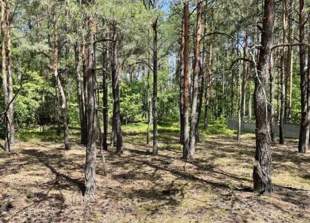 На Волині експосадовець ДСНС торгувався з колишнім прокурором за майже 17 соток курортної землі На-Волині-експосадовець-ДСНС-торгувався-з-колишнім-прокурором-за-майже-17-соток-курортної-землі