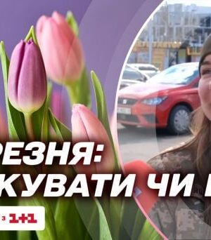 Скільки-українців-святкуватимуть-8-березня:-дані-соцопитування