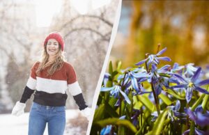Все про свято 5 березня 2026: що обов’язково потрібно зробити на ділянці сьогодні Все-про-свято-5-березня-2026:-що-обов’язково-потрібно-зробити-на-ділянці-сьогодні
