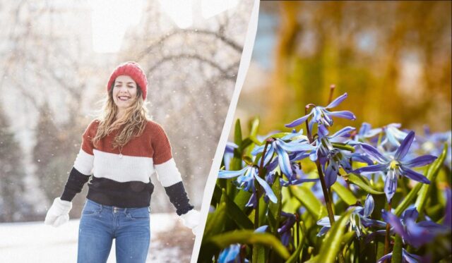 Все про свято 5 березня 2026: що обов’язково потрібно зробити на ділянці сьогодні Все-про-свято-5-березня-2026:-що-обов’язково-потрібно-зробити-на-ділянці-сьогодні