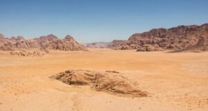 В одній з найсухіших пустель світу вчені знайшли форми життя В-одній-з-найсухіших-пустель-світу-вчені-знайшли-форми-життя