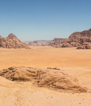 В-одній-з-найсухіших-пустель-світу-вчені-знайшли-форми-життя