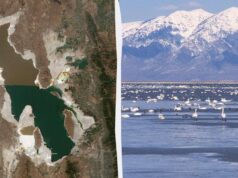 Вчені знайшли життя там, де воно неможливе: цих істот раніше не бачили на Землі Вчені-знайшли-життя-там,-де-воно-неможливе:-цих-істот-раніше-не-бачили-на-Землі