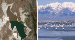 Вчені знайшли життя там, де воно неможливе: цих істот раніше не бачили на Землі Вчені-знайшли-життя-там,-де-воно-неможливе:-цих-істот-раніше-не-бачили-на-Землі