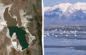 Вчені знайшли життя там, де воно неможливе: цих істот раніше не бачили на Землі Вчені-знайшли-життя-там,-де-воно-неможливе:-цих-істот-раніше-не-бачили-на-Землі