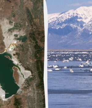 Вчені-знайшли-життя-там,-де-воно-неможливе:-цих-істот-раніше-не-бачили-на-Землі