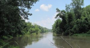 Простягається на 31 штат і є домом для дуже дивної тварини: що це за річка Простягається-на-31-штат-і-є-домом-для-дуже-дивної-тварини:-що-це-за-річка