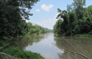 Простягається на 31 штат і є домом для дуже дивної тварини: що це за річка Простягається-на-31-штат-і-є-домом-для-дуже-дивної-тварини:-що-це-за-річка