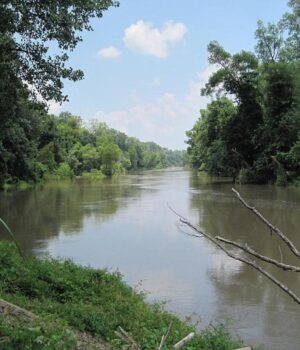 Простягається-на-31-штат-і-є-домом-для-дуже-дивної-тварини:-що-це-за-річка