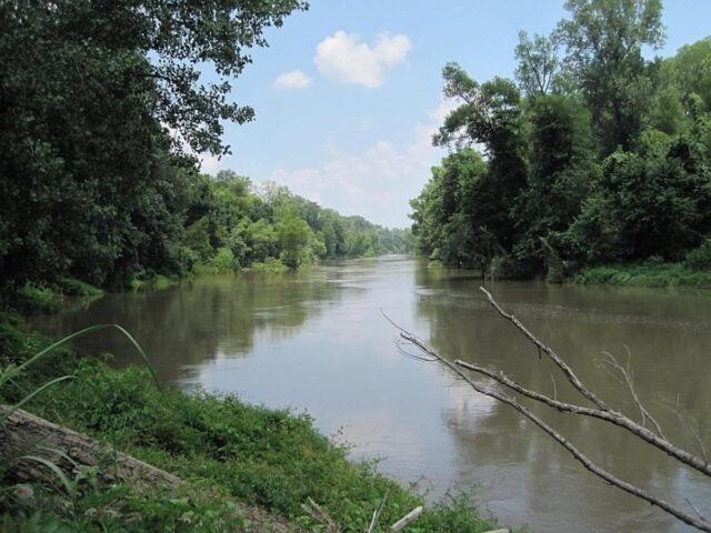 Простягається на 31 штат і є домом для дуже дивної тварини: що це за річка Простягається-на-31-штат-і-є-домом-для-дуже-дивної-тварини:-що-це-за-річка