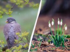 Свято 6 березня в Україні: який сьогодні є обряд для поминання померлих Свято-6-березня-в-Україні:-який-сьогодні-є-обряд-для-поминання-померлих